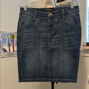 Liverpool Denim Pencil Skirt